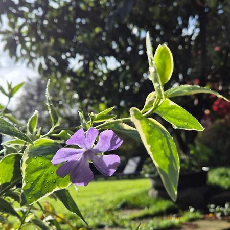 Cascina San Martino Bed & Breakfast Passirano Ngoại thất bức ảnh