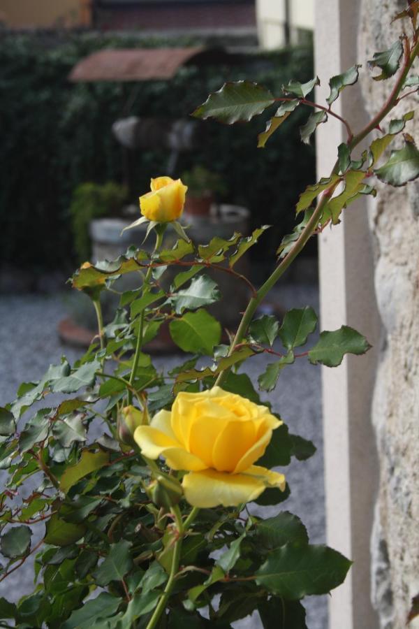 Cascina San Martino Bed & Breakfast Passirano Ngoại thất bức ảnh